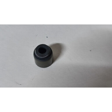 Сальник выпускного газораспределительного клапана 10237834-00 BYD F3